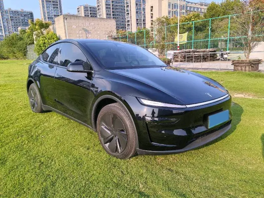 2025 TESLA MODEL thumbnail 3