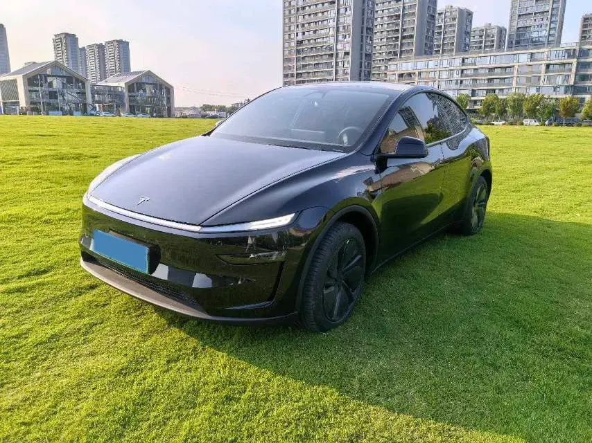 2025 TESLA MODEL view 1
