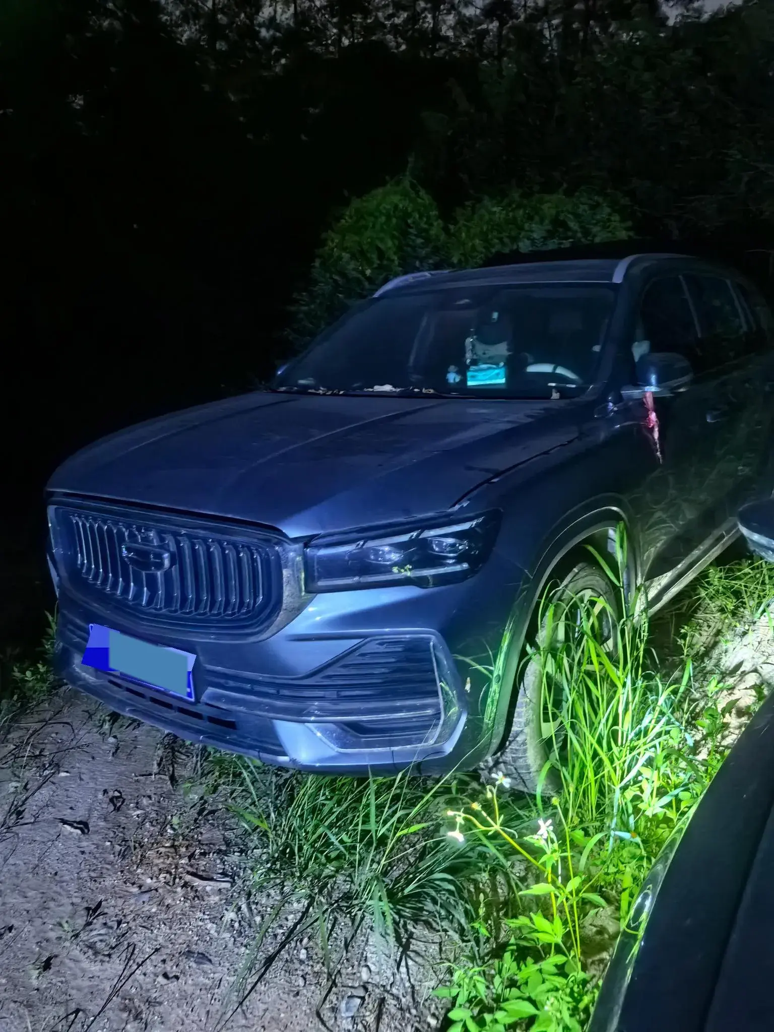 2021 GEELY MONJARO view 1