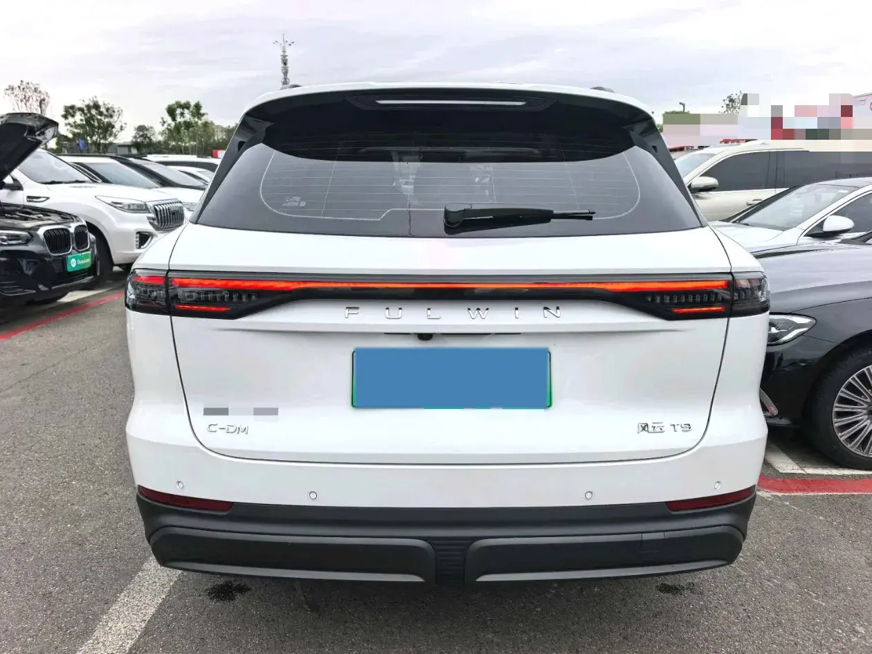 2024 FULWIN FULWINT9 thumbnail 4