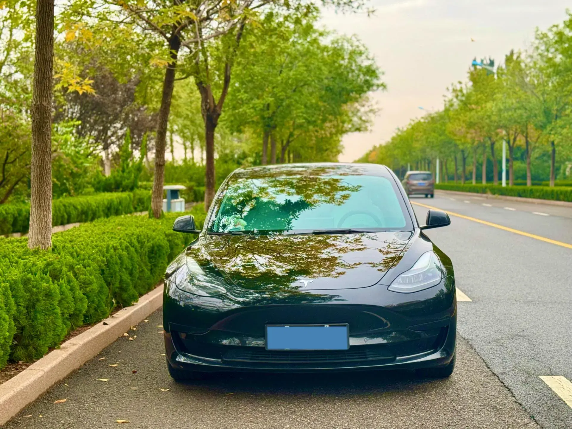 2022 TESLA MODEL thumbnail 4