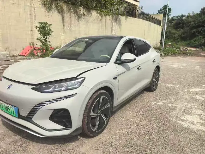 2023 DENZA N7 view 1