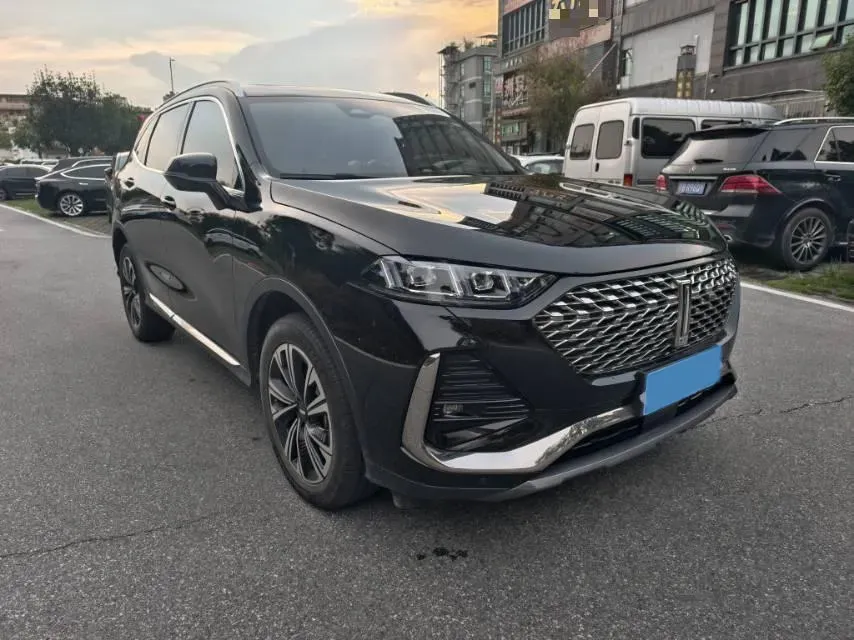 2022 WEY Latte DHT 1.5T 156HP L4 2DHT Hybrid,autocango,china used car exporter,china ev exporter,chinese used car exporter,chinese used ev exporter