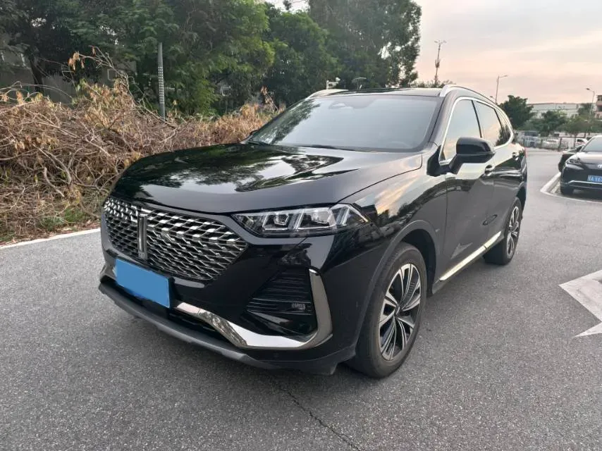 2022 WEY Latte DHT 1.5T 156HP L4 2DHT Hybrid,autocango,china used car exporter,china ev exporter,chinese used car exporter,chinese used ev exporter