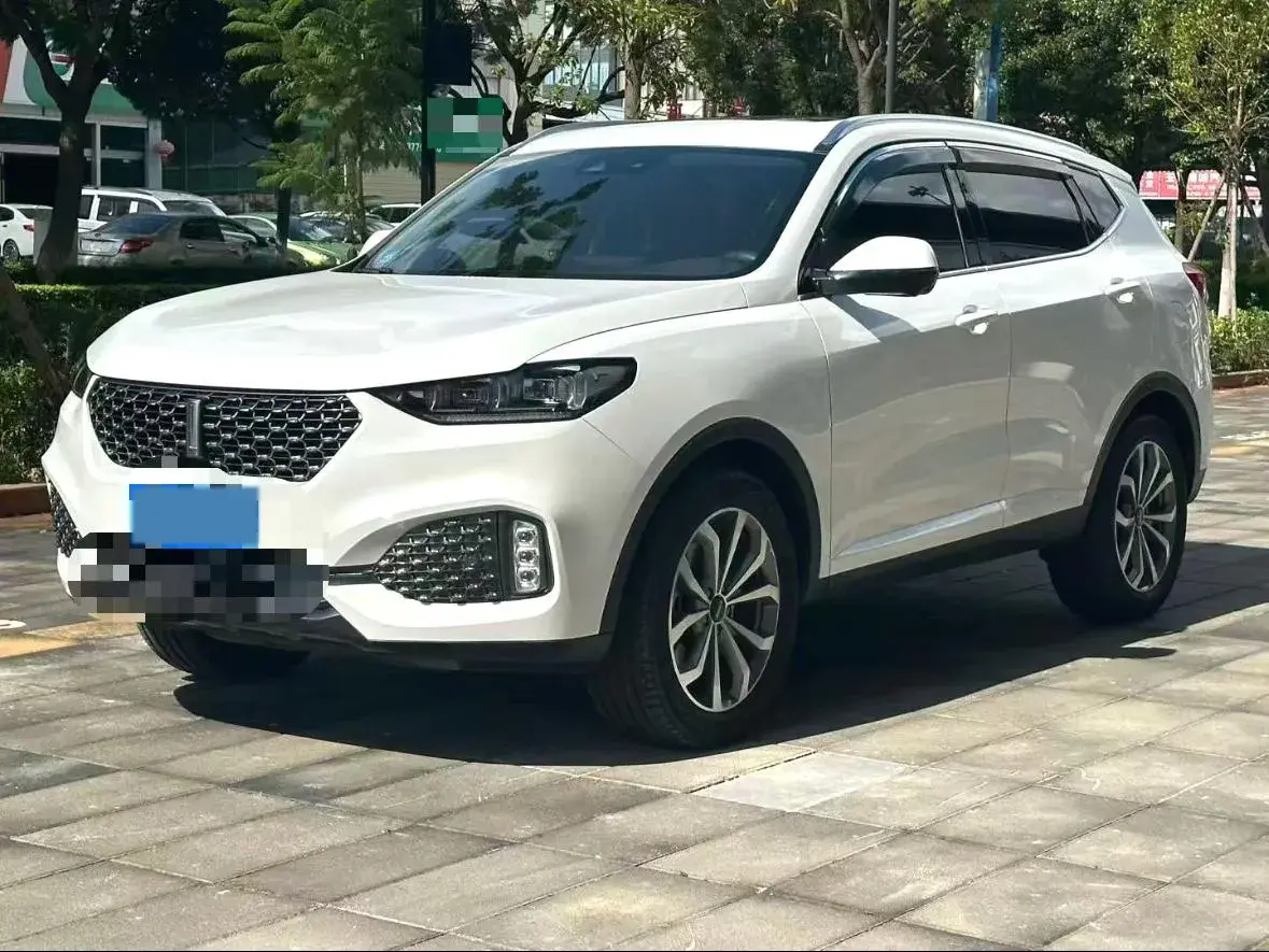 2020 WEY VV6 2.0T 227HP L4 7DCT