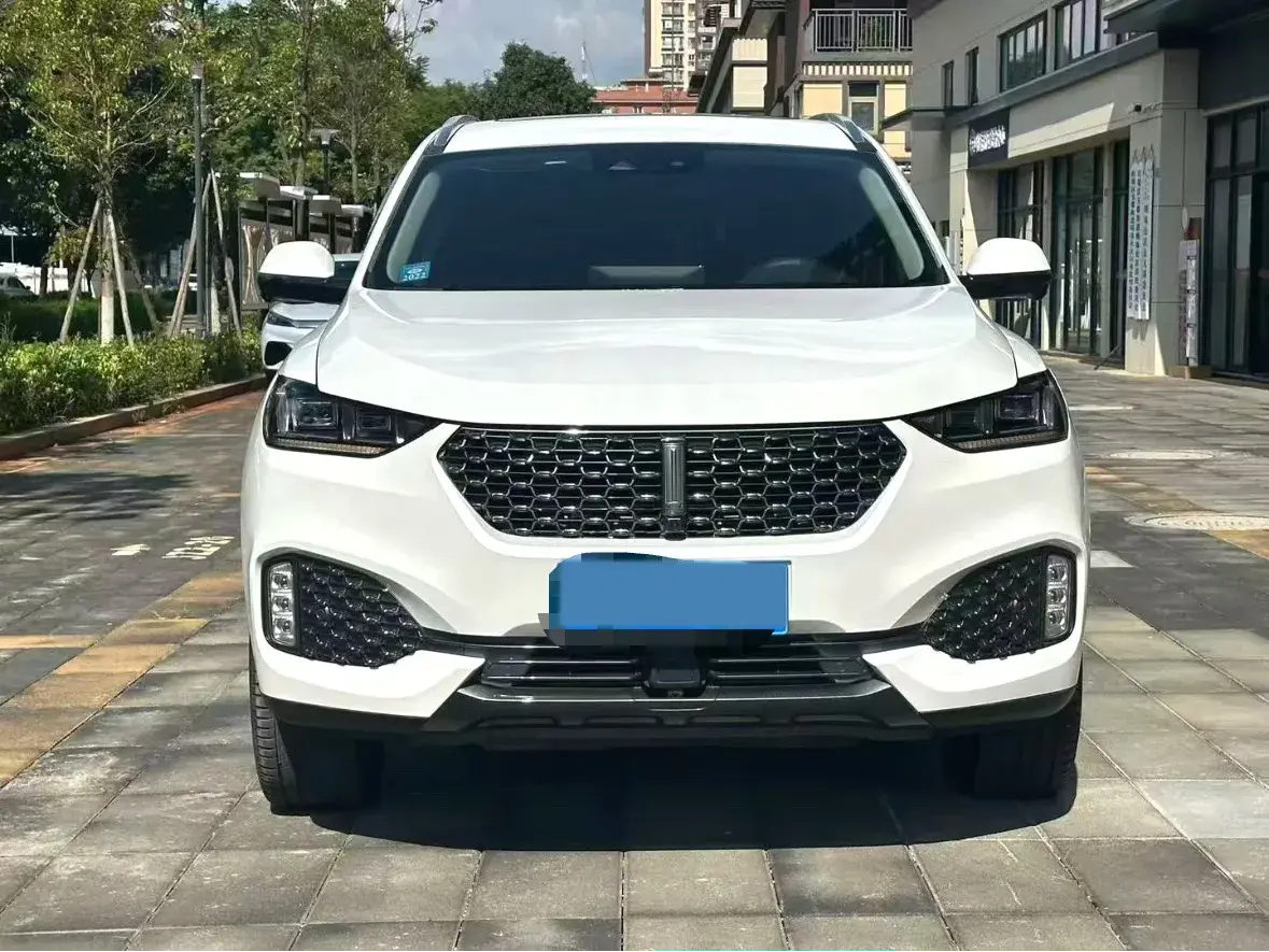 2020 WEY VV6 thumbnail 2