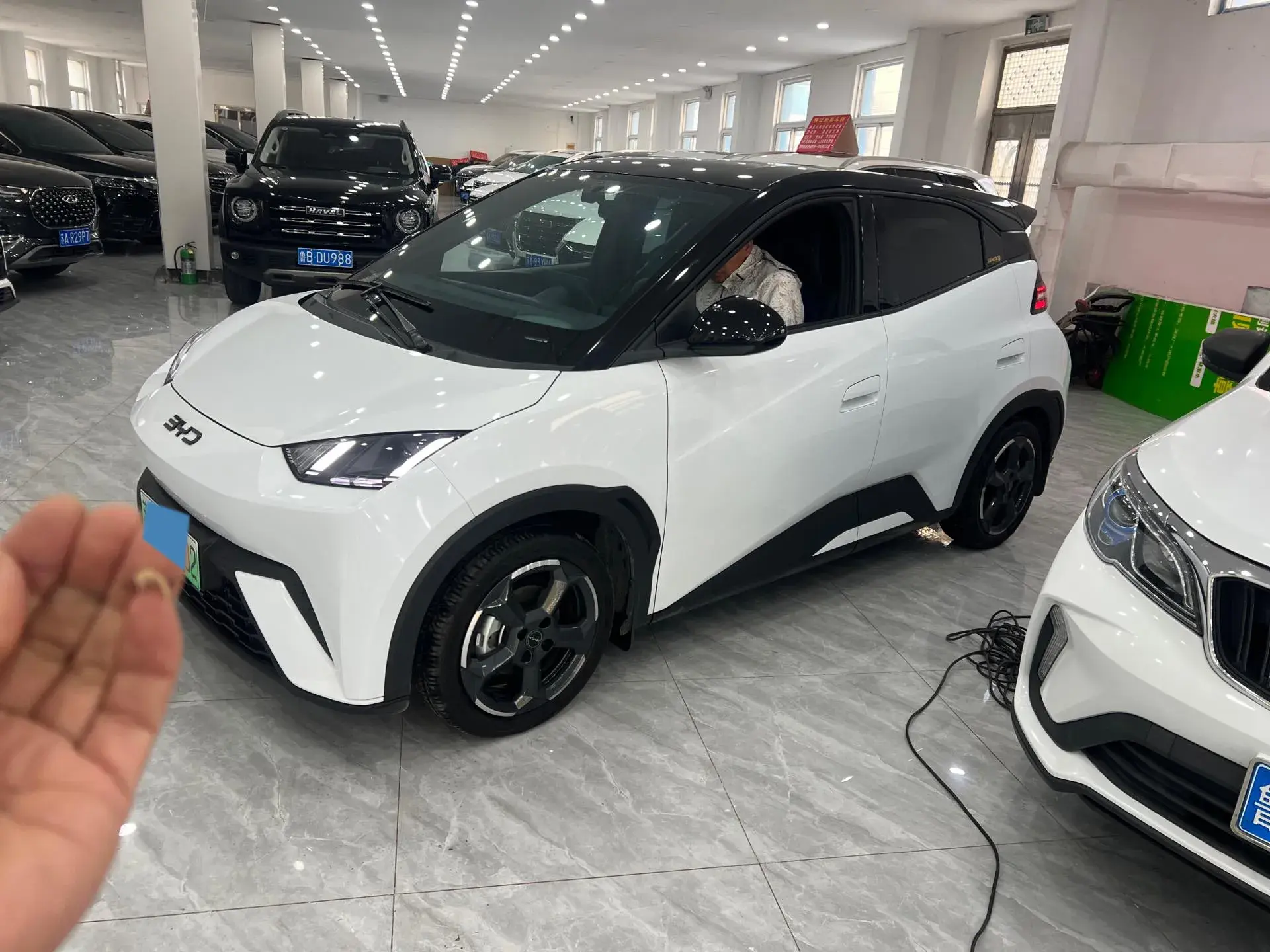 2024 BYD SEAGULL view 1