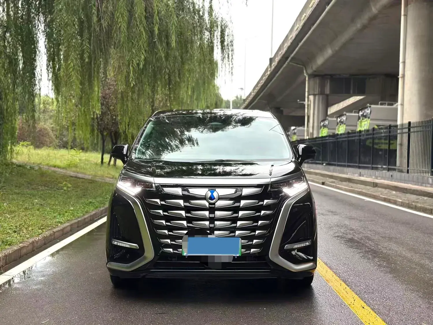 2024 DENZA D9 thumbnail 2