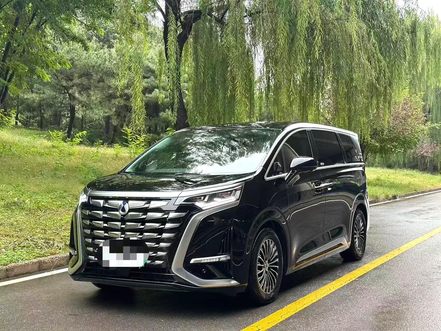 2024 DENZA D9 view 1