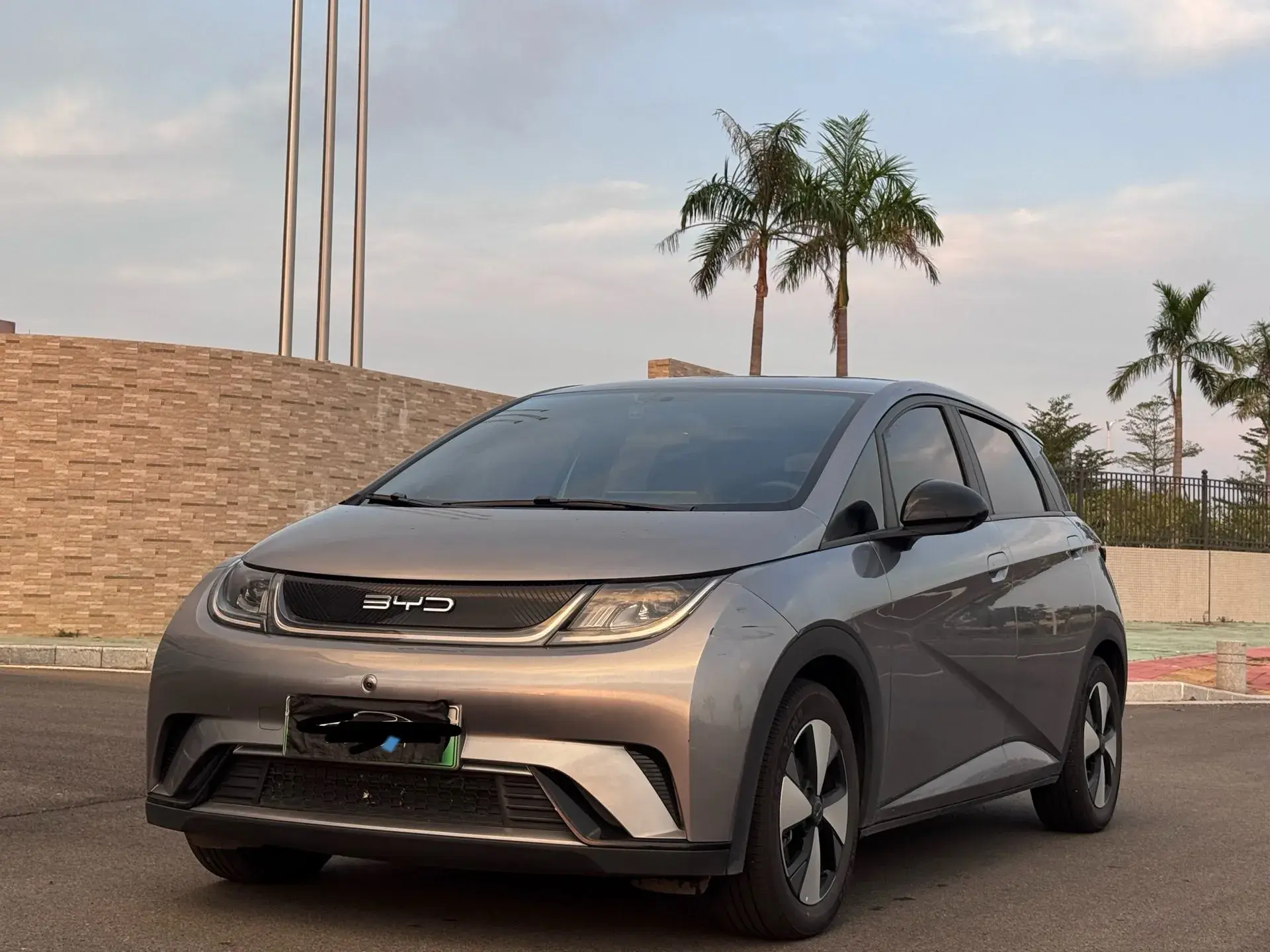 2023 BYD DOLPHIN view 1