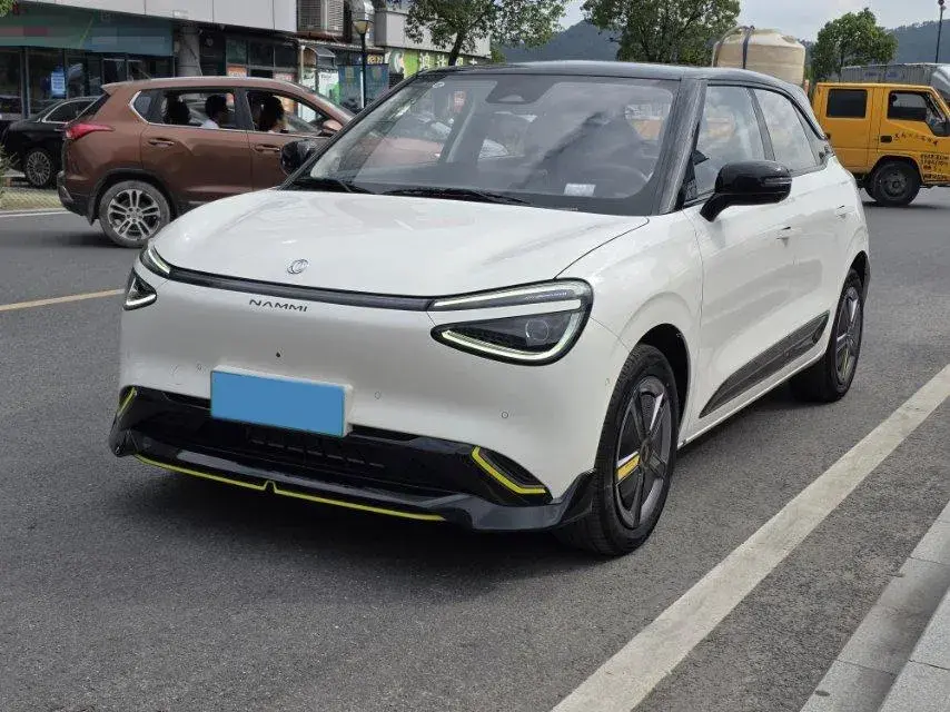 2024 DONGFENG NAMMI view 1