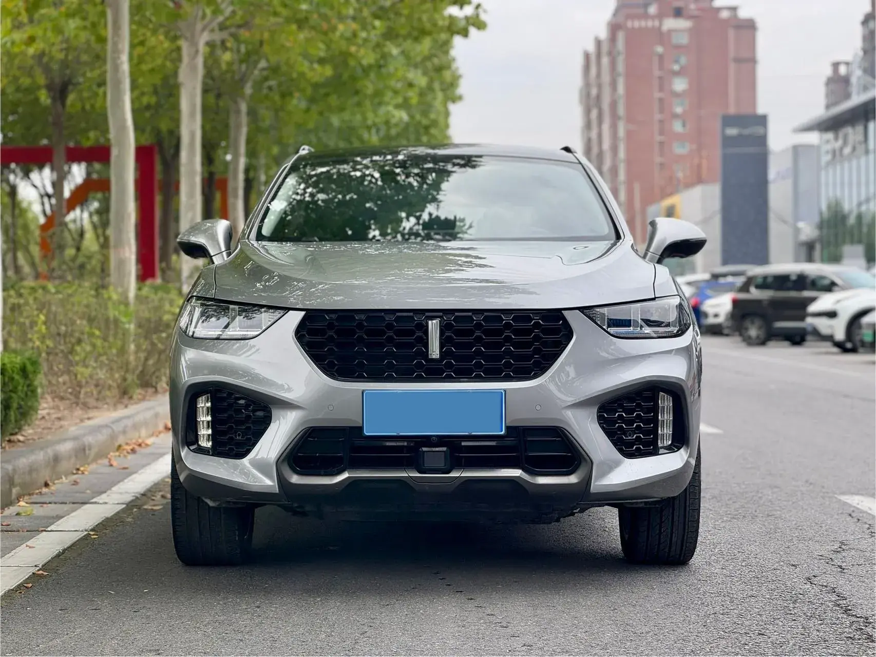 2019 WEY VV5 thumbnail 2