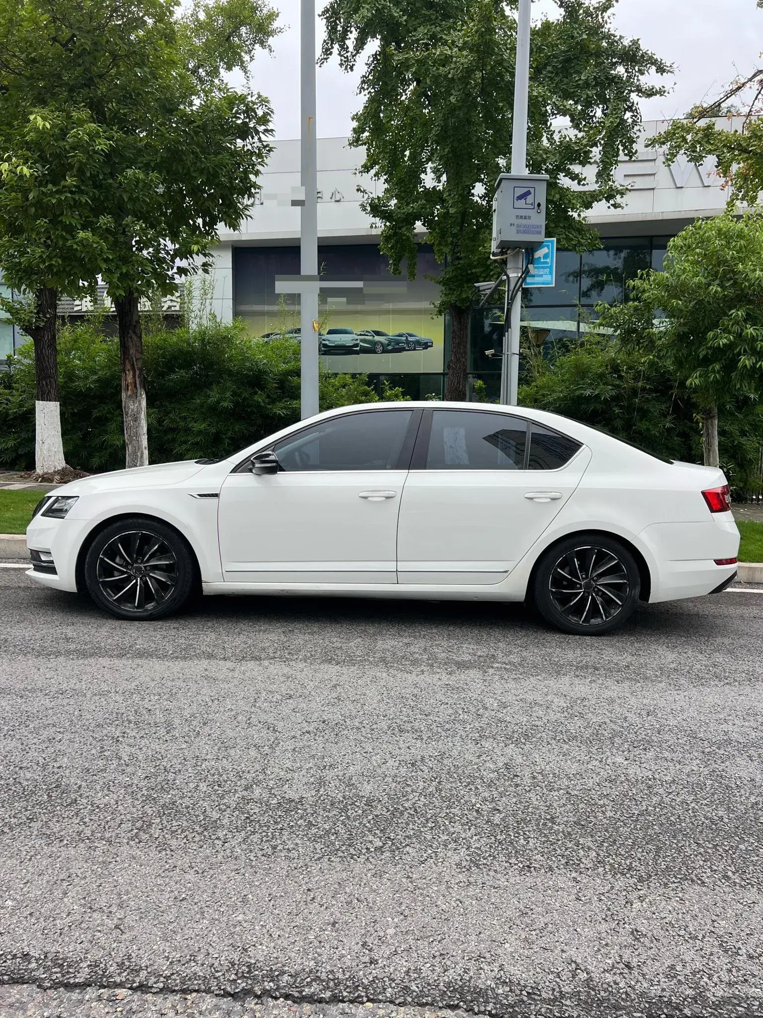 2019 SKODA OCTAVIA thumbnail 3