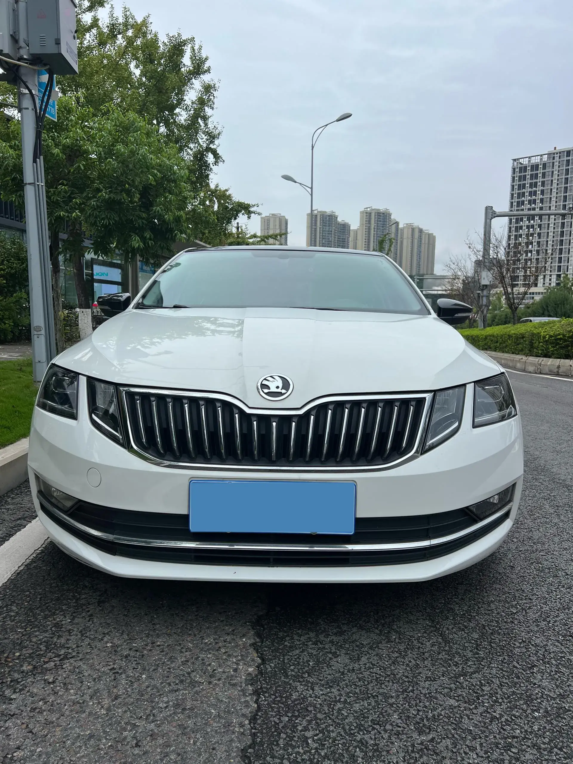 2019 SKODA OCTAVIA thumbnail 2