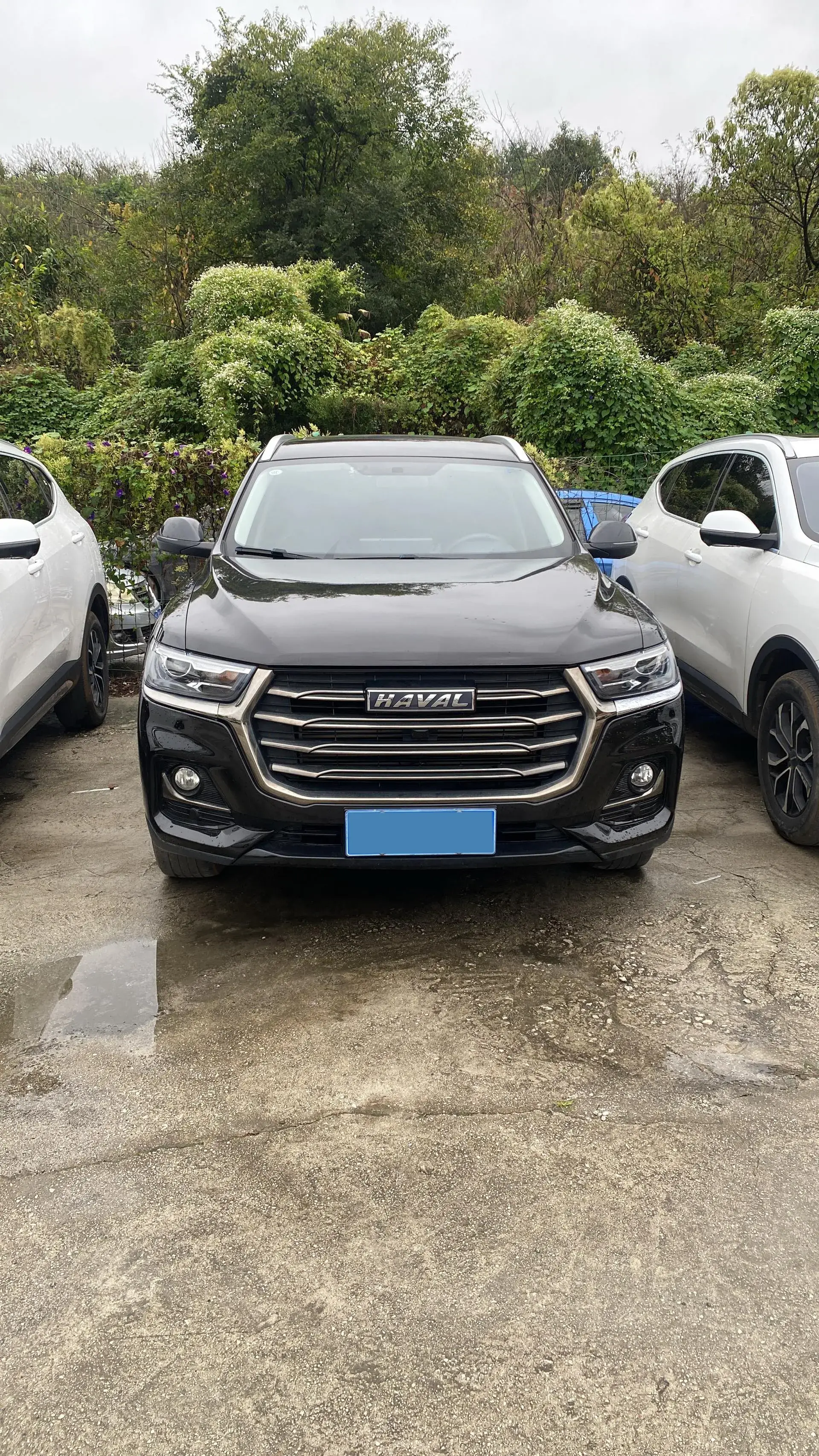 2021 HAVAL H6 thumbnail 2