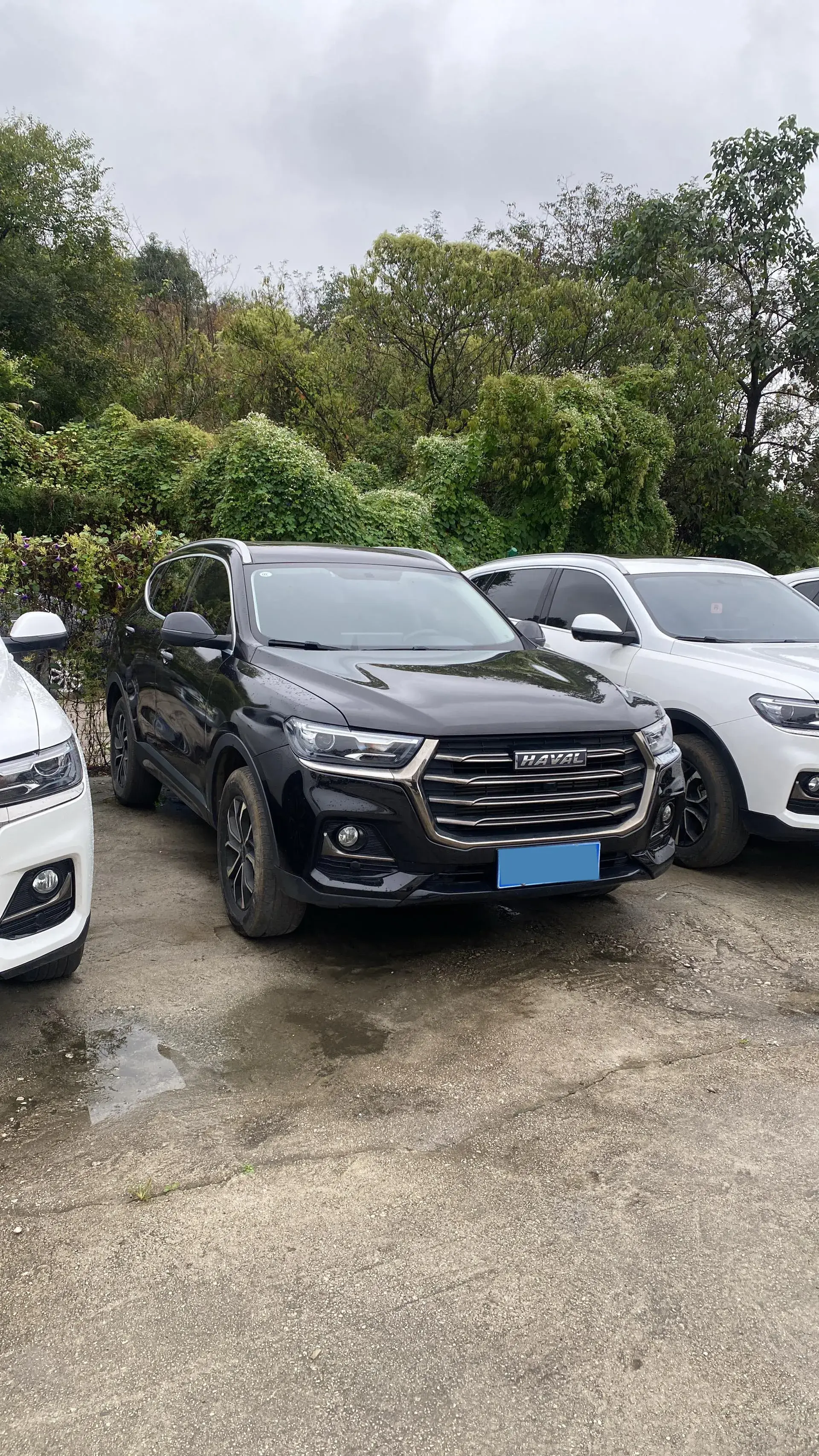 2021 HAVAL H6 thumbnail 3