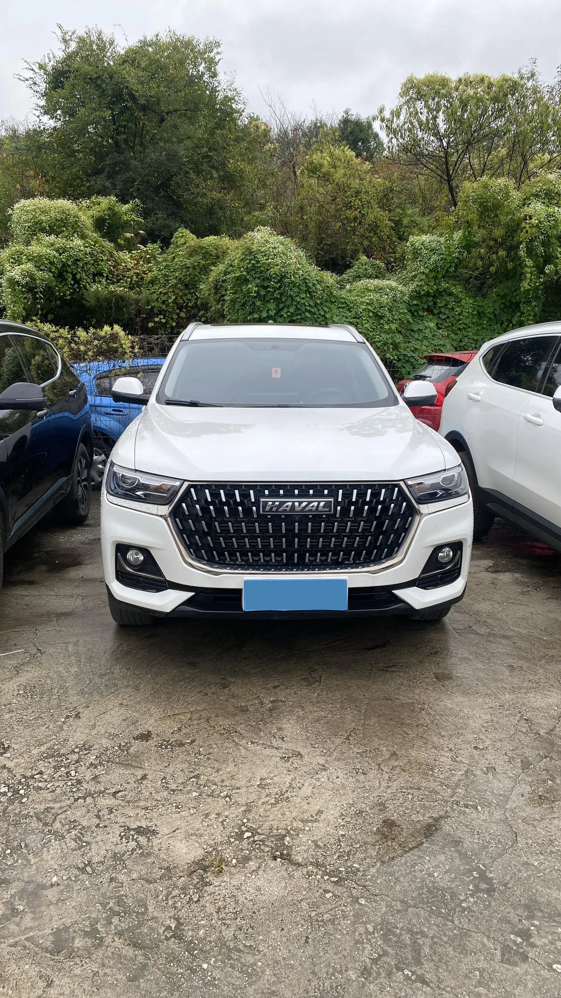 2021 HAVAL H6 thumbnail 2