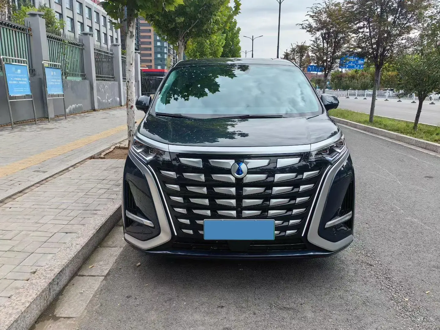 2022 DENZA D9 thumbnail 2