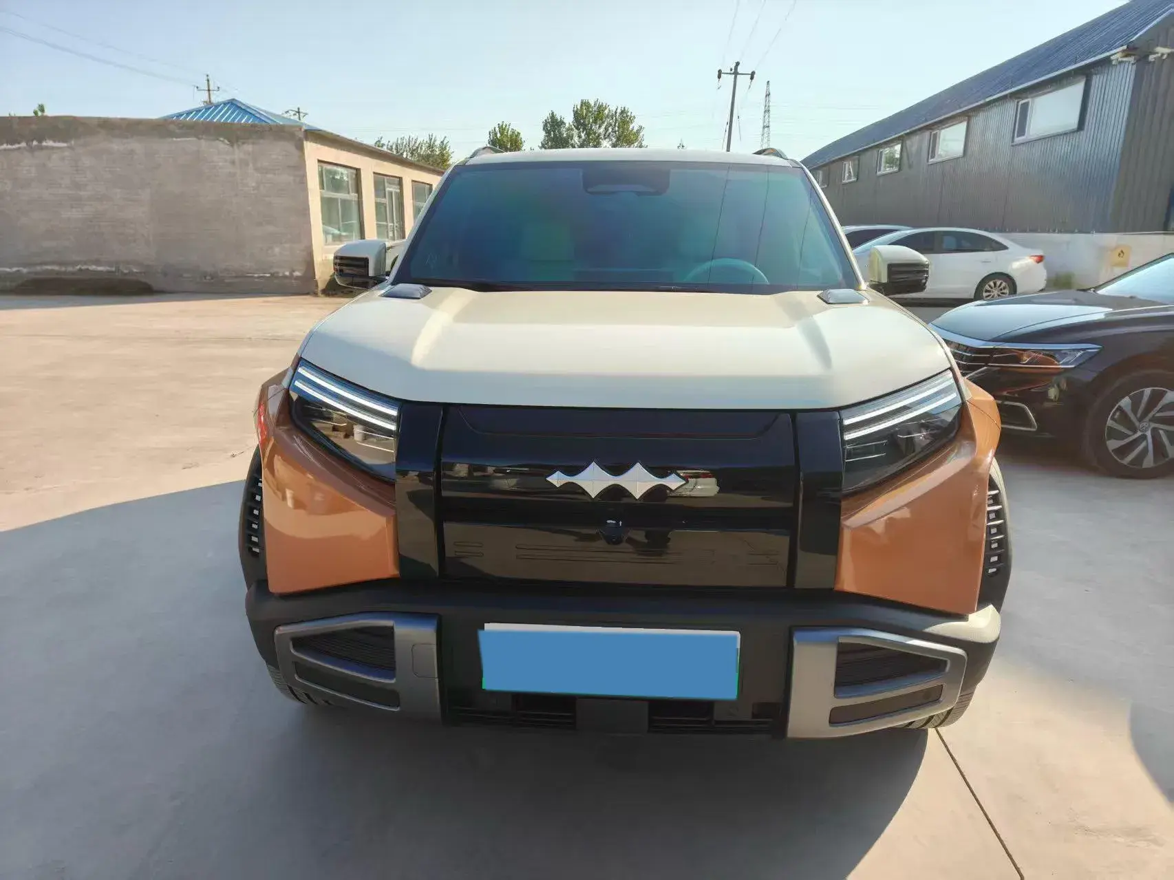 2025 FANGCHENGBAO TAI thumbnail 3