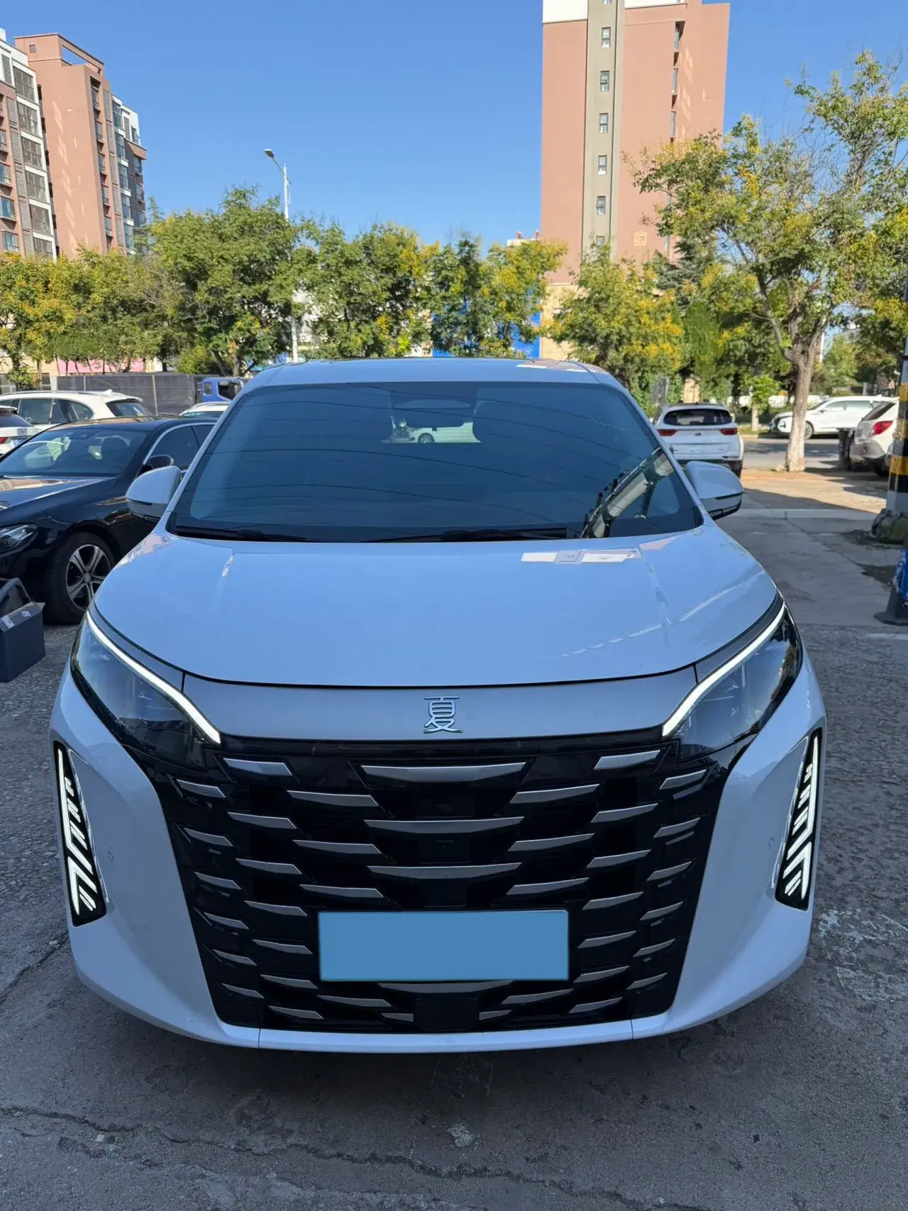 2025 BYD XIA thumbnail 3