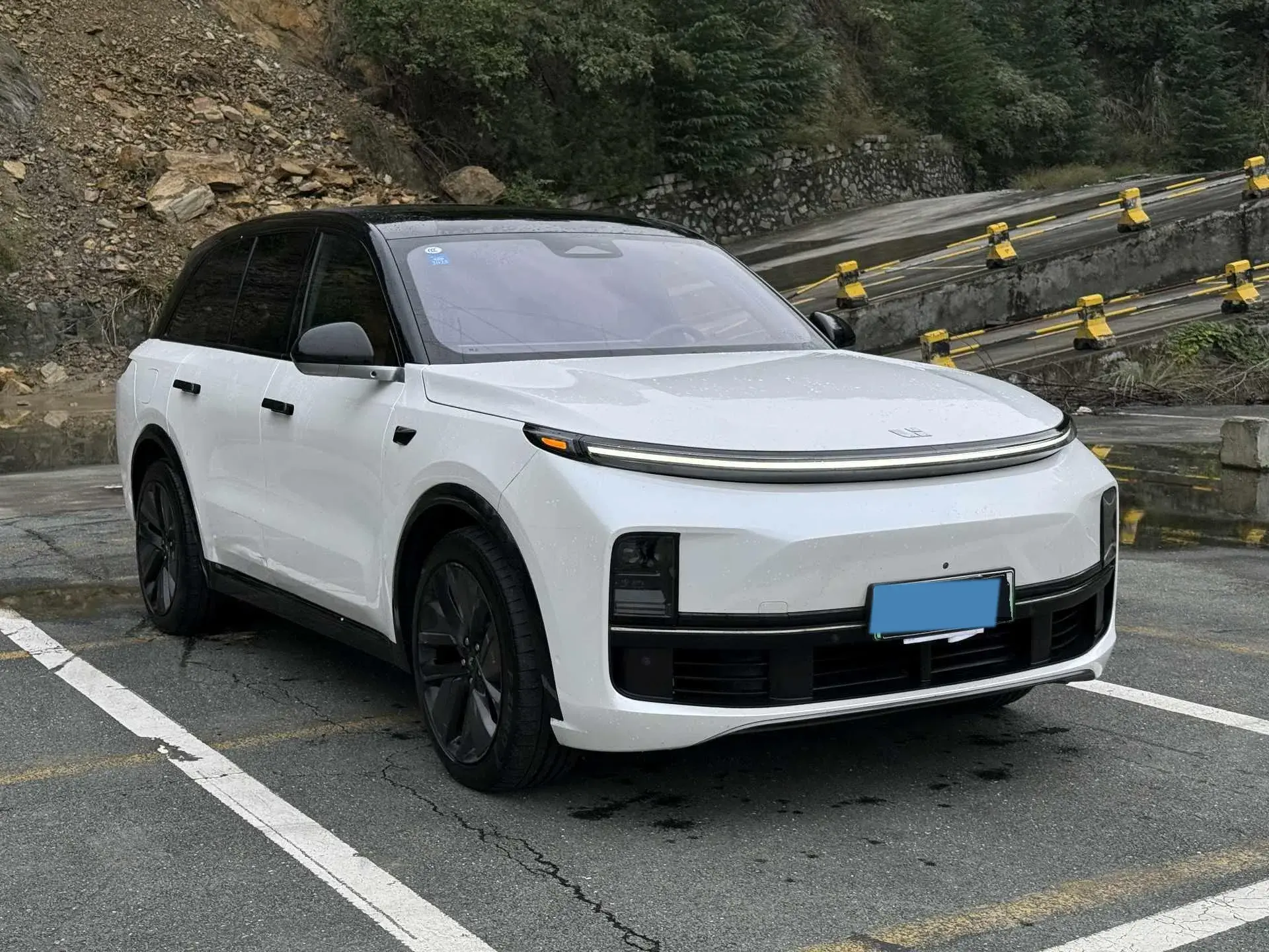 2023 LI L8 thumbnail 3