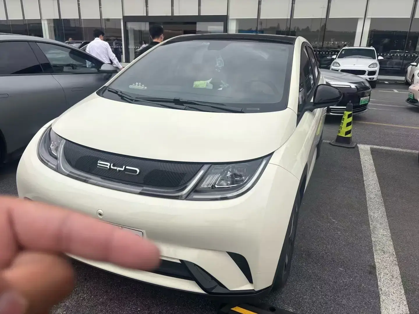 2021 BYD DOLPHIN view 1