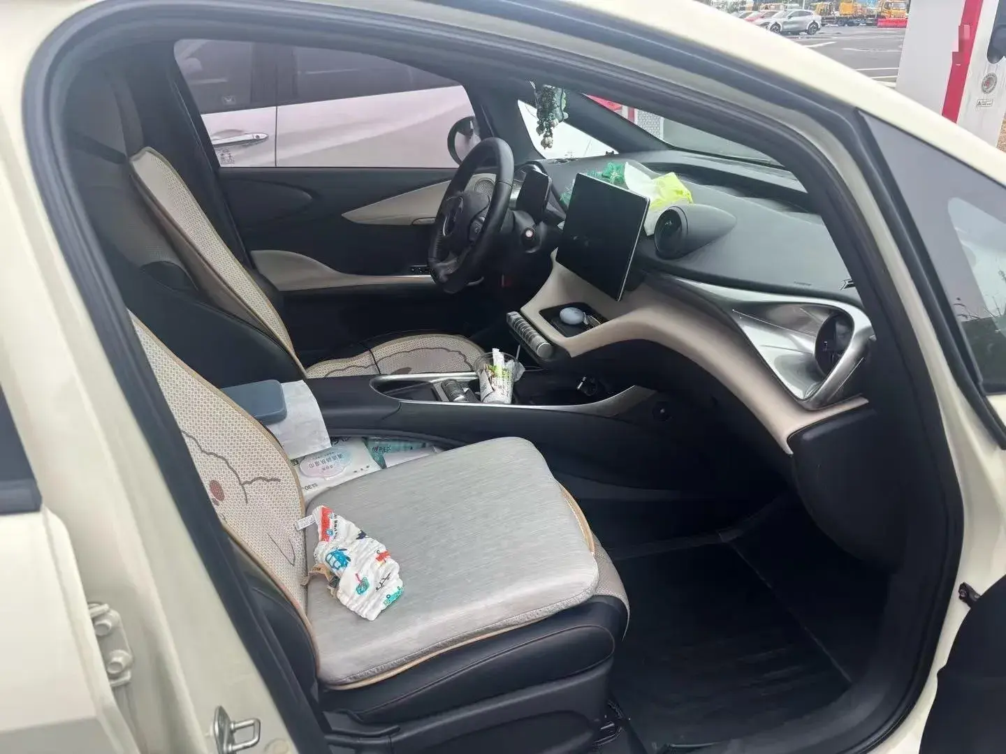 2021 BYD DOLPHIN thumbnail 3