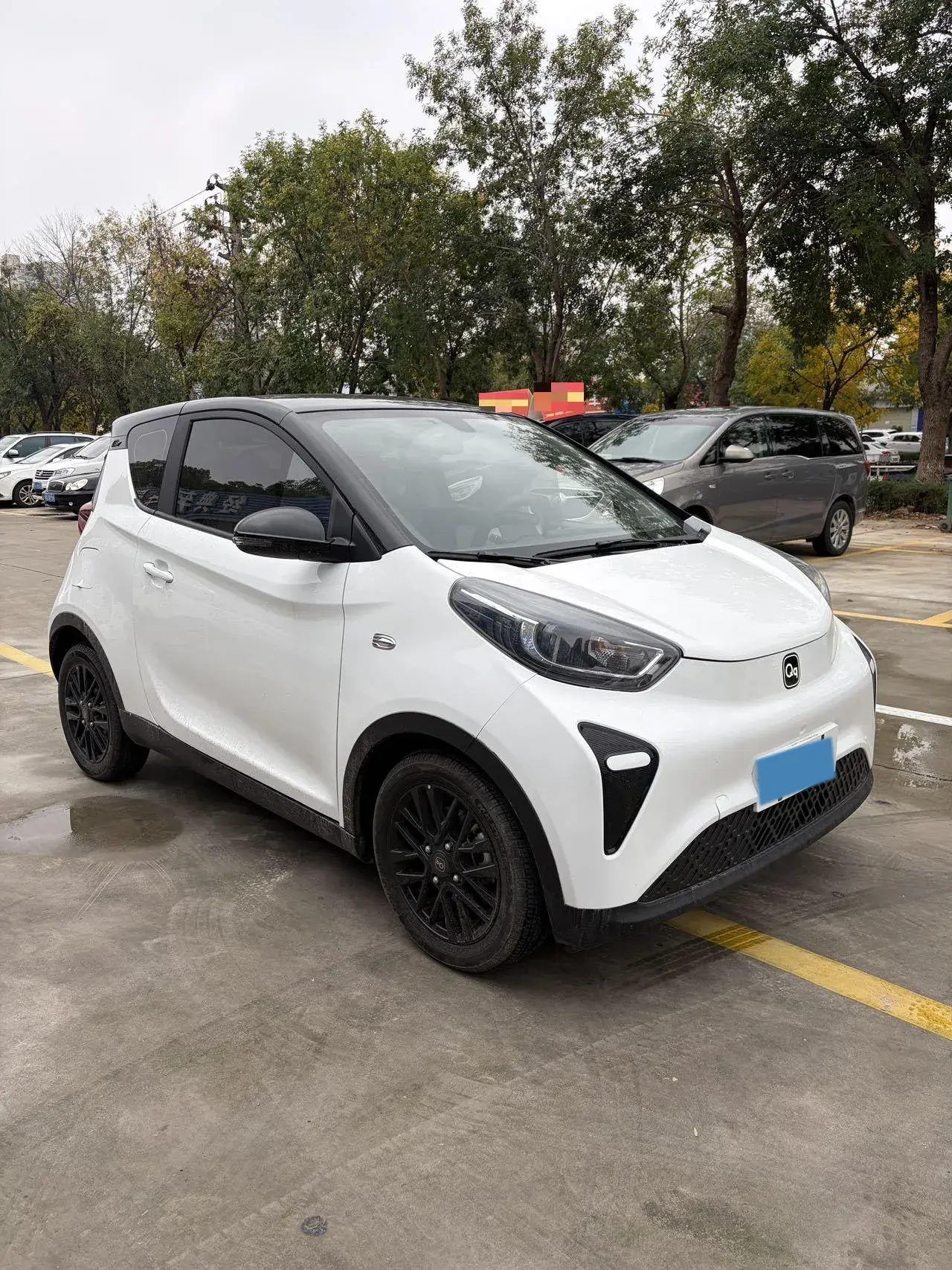 2024 CHERY LITTLE thumbnail 3