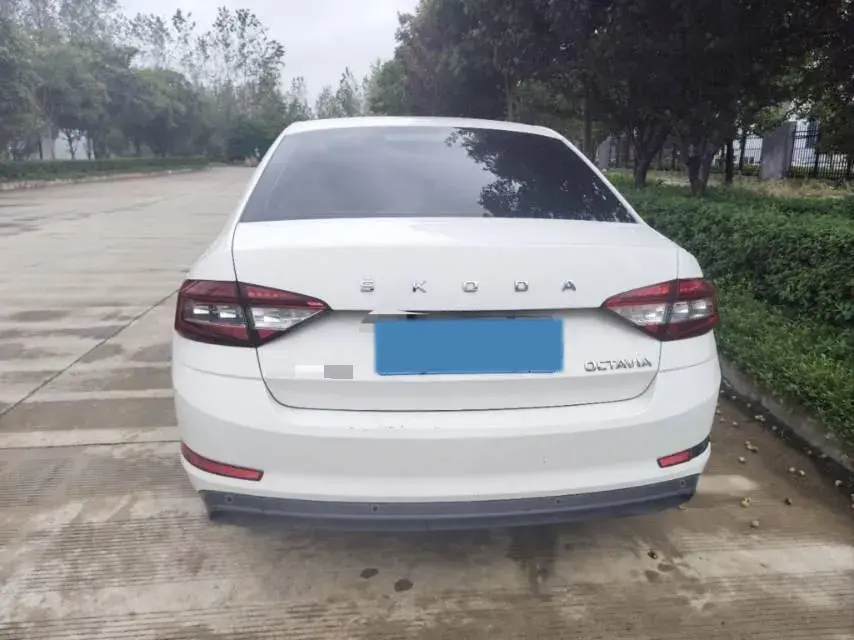 2019 SKODA OCTAVIA thumbnail 3