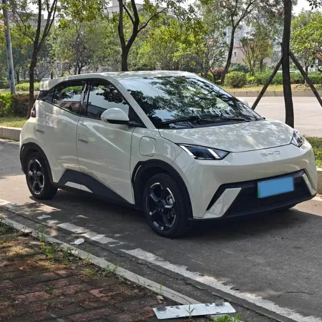 2023 BYD SEAGULL thumbnail 3