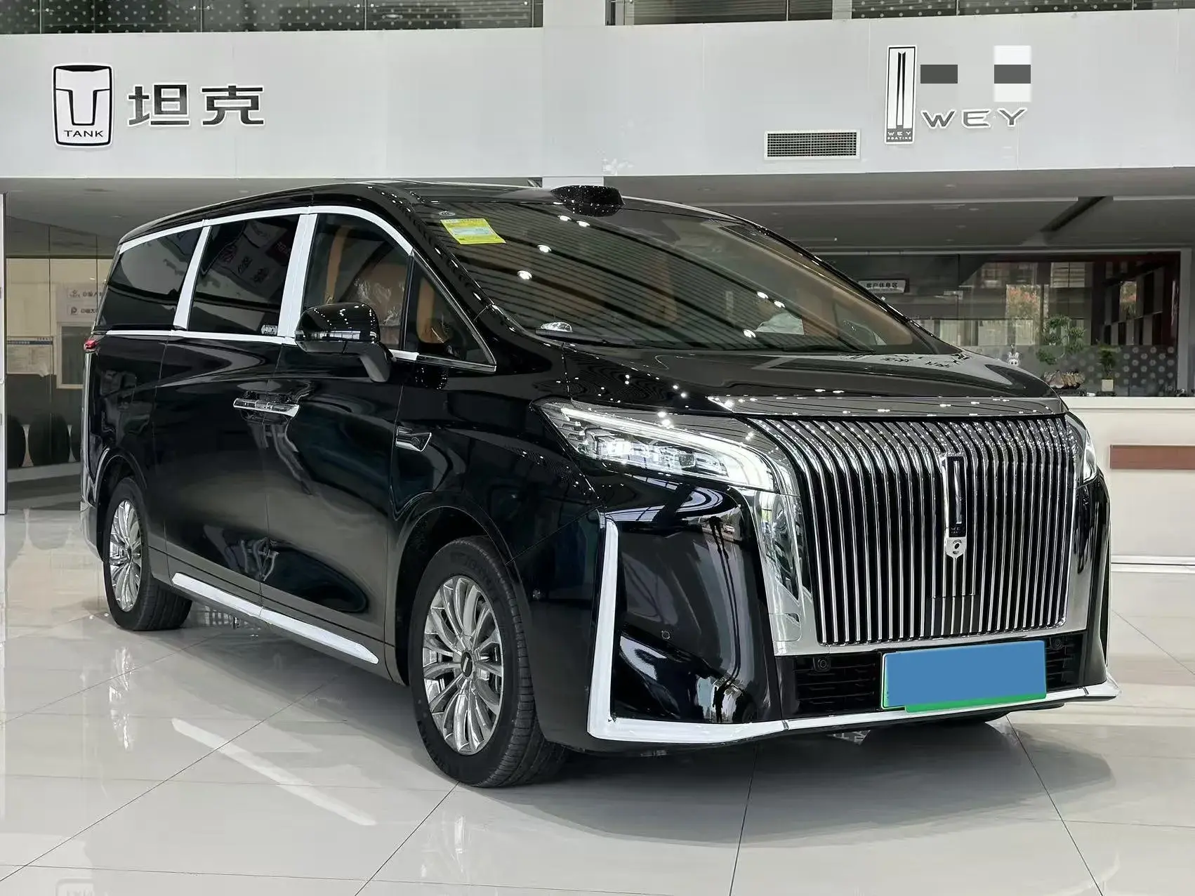 2025 WEY HIGHMOUNTAIN thumbnail 2