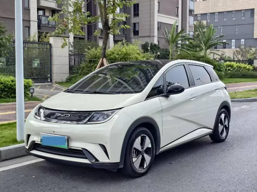 2023 BYD DOLPHIN view 1