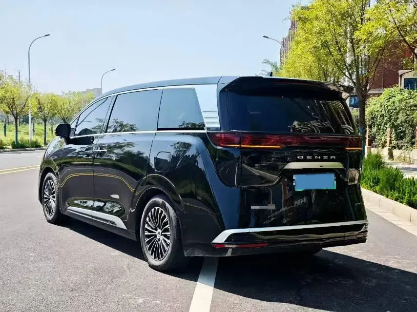2024 DENZA D9 thumbnail 3