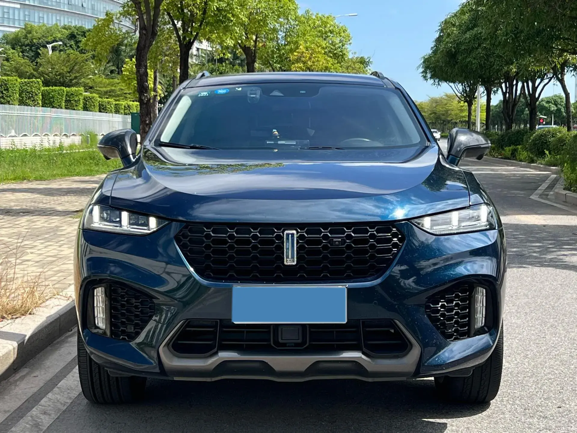 2019 WEY VV7 thumbnail 2