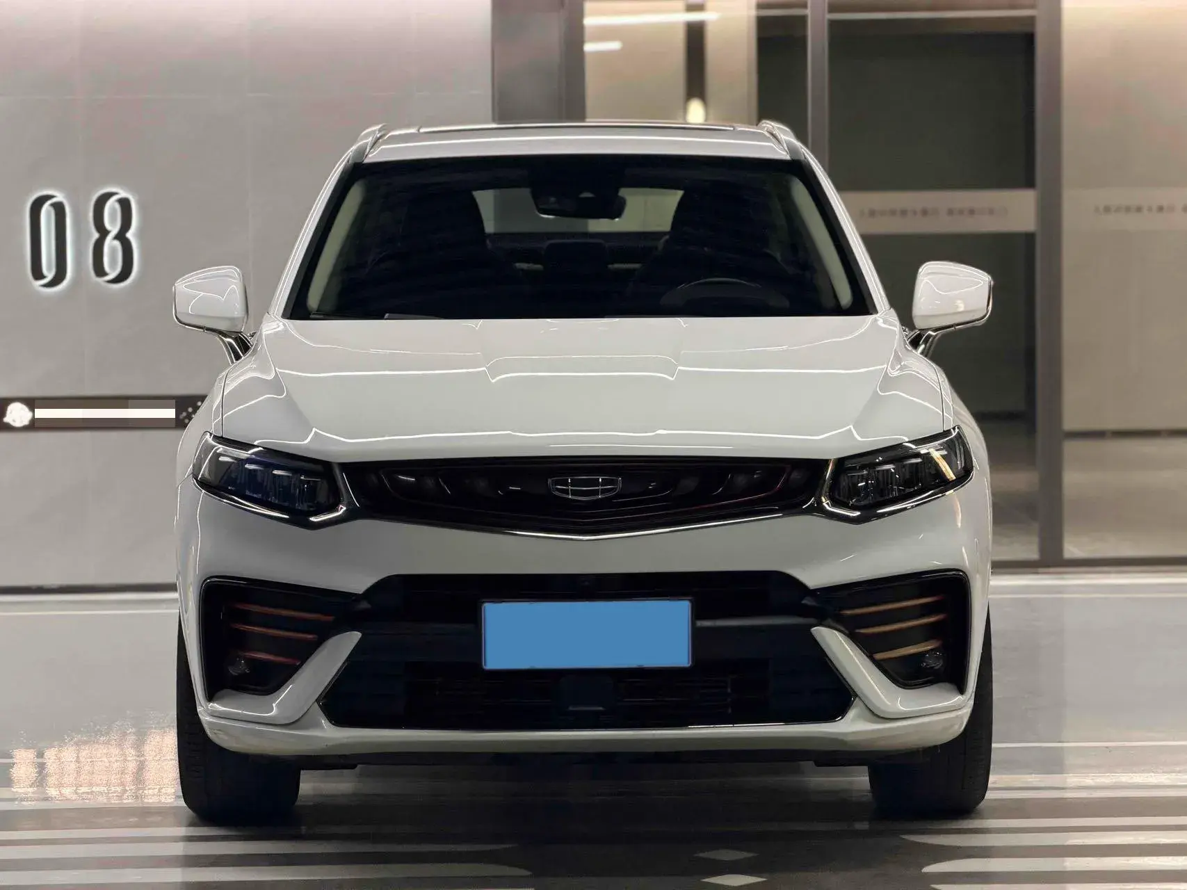 2019 GEELY TUGELLA thumbnail 2