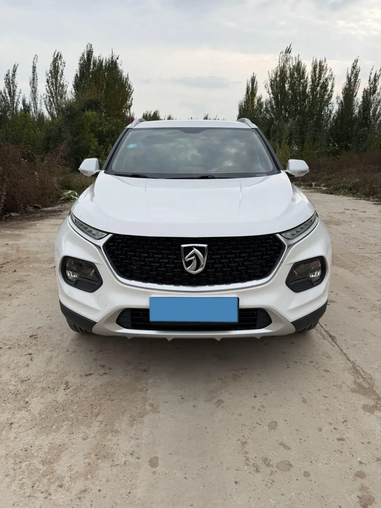 2019 BAOJUN 510 thumbnail 2
