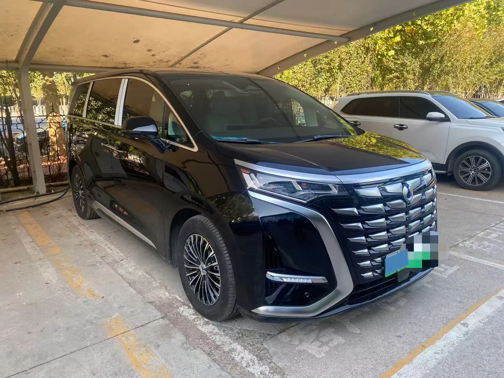 2024 DENZA D9 thumbnail 2