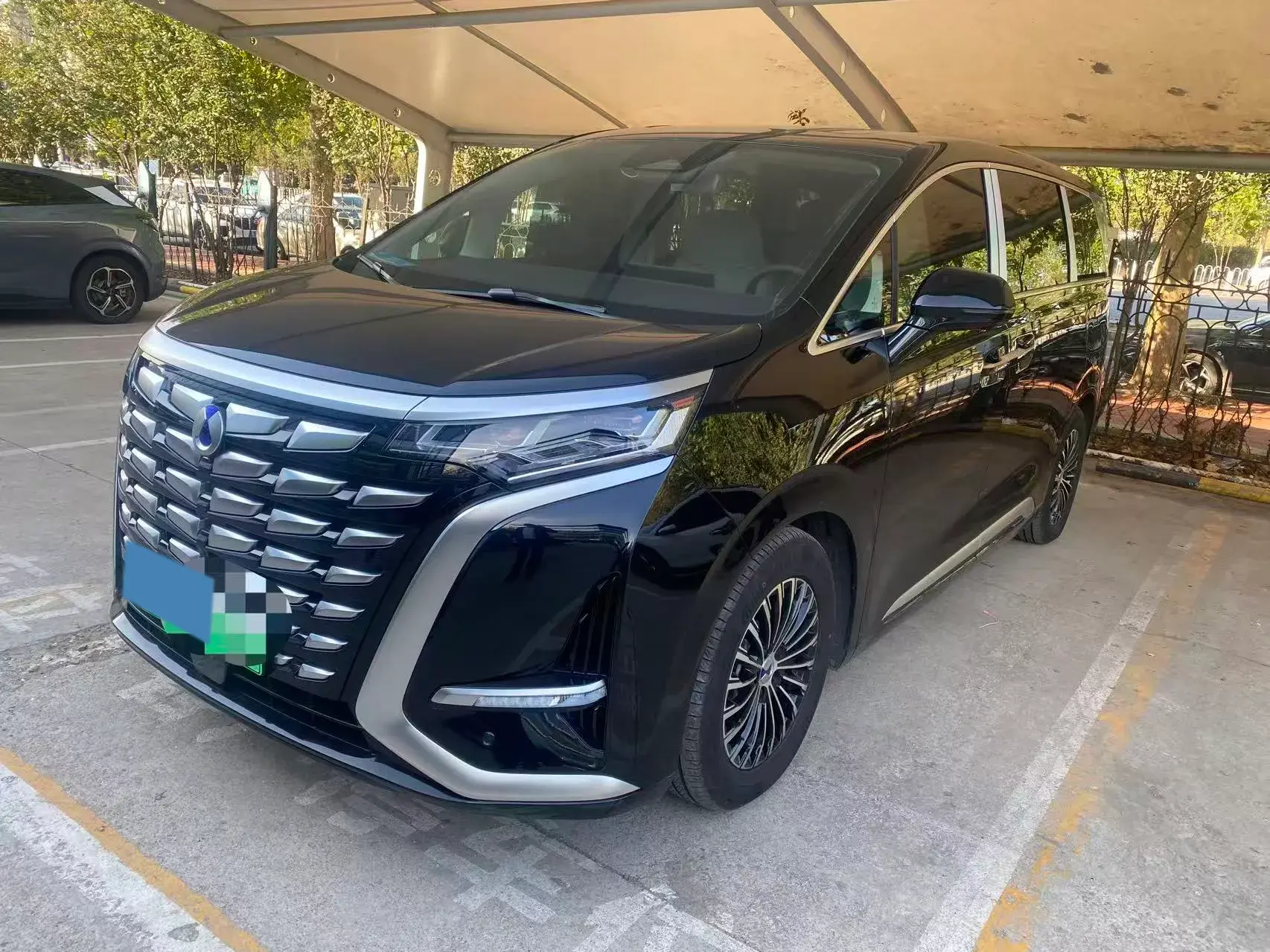 2024 DENZA D9 view 1