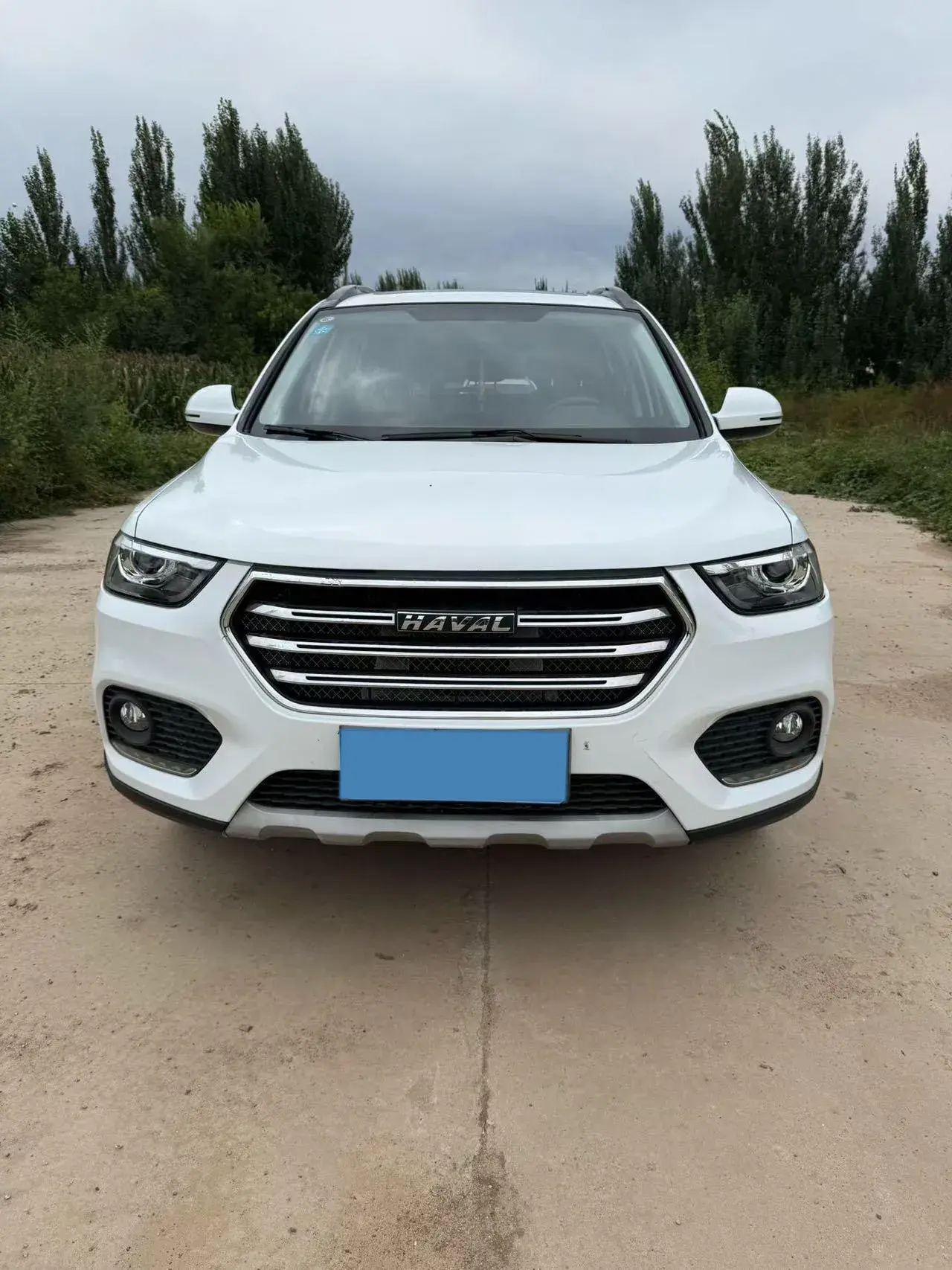 2019 HAVAL H6 thumbnail 2