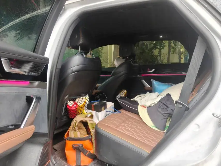 2021 BYD TANG thumbnail 4