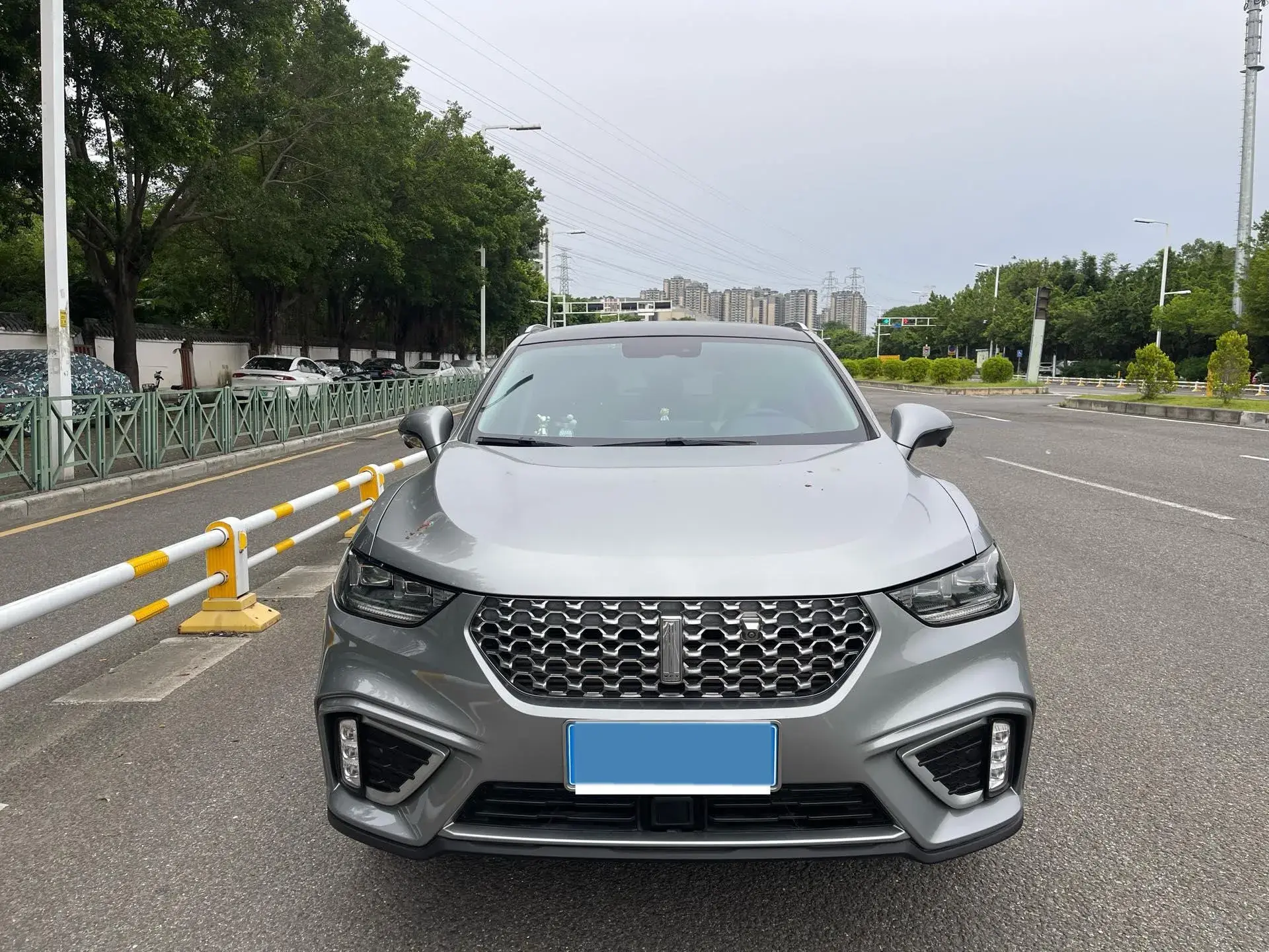 2020 WEY VV5 thumbnail 2