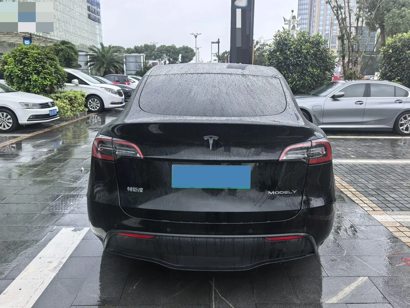 2022 TESLA MODEL thumbnail 3