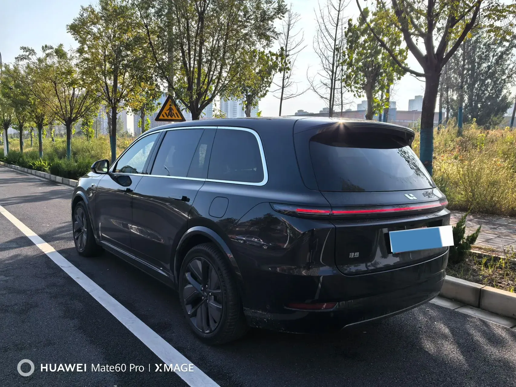 2024 LI L9 thumbnail 3