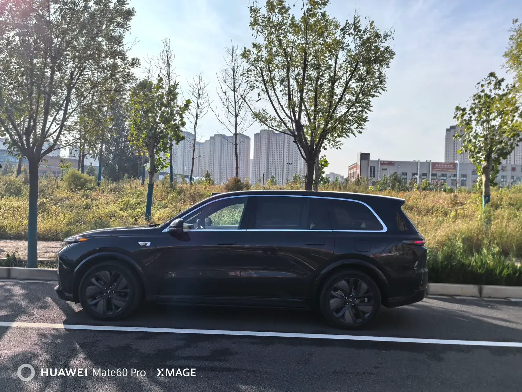 2024 LI L9 thumbnail 2