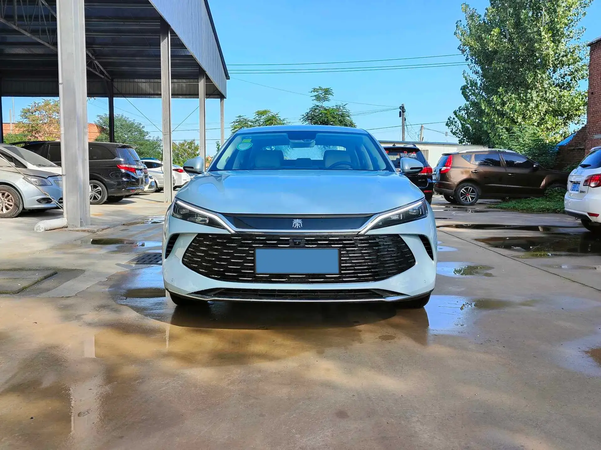 2024 BYD QINL thumbnail 2