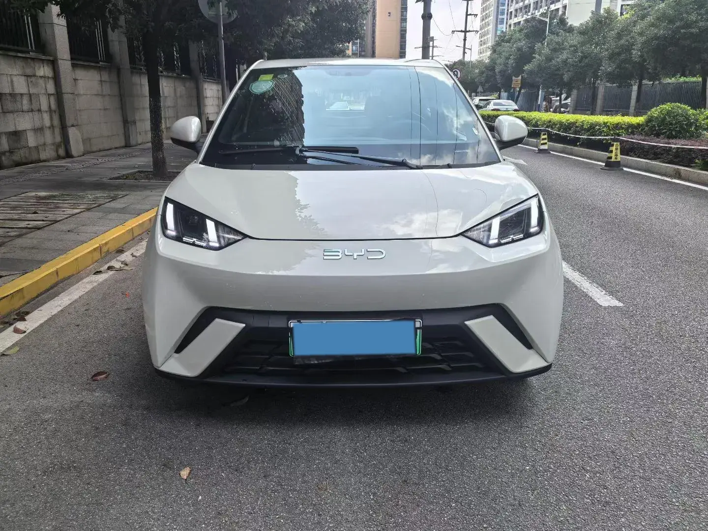 2025 BYD SEAGULL thumbnail 2