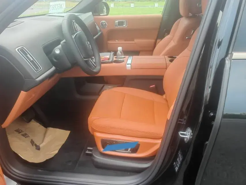 2025 LI L9 thumbnail 2