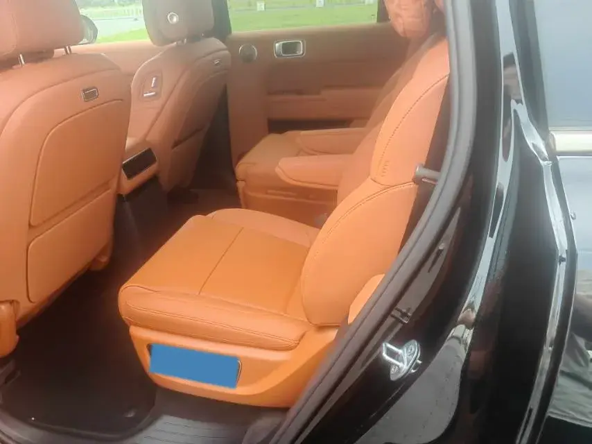 2025 LI L9 thumbnail 3