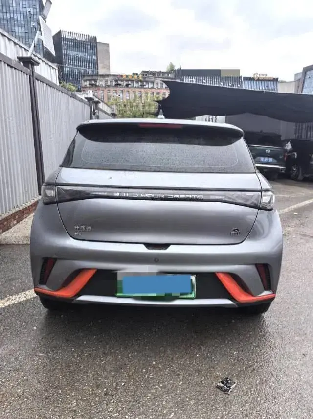 2021 BYD DOLPHIN thumbnail 3