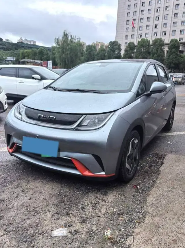 2021 BYD DOLPHIN view 1